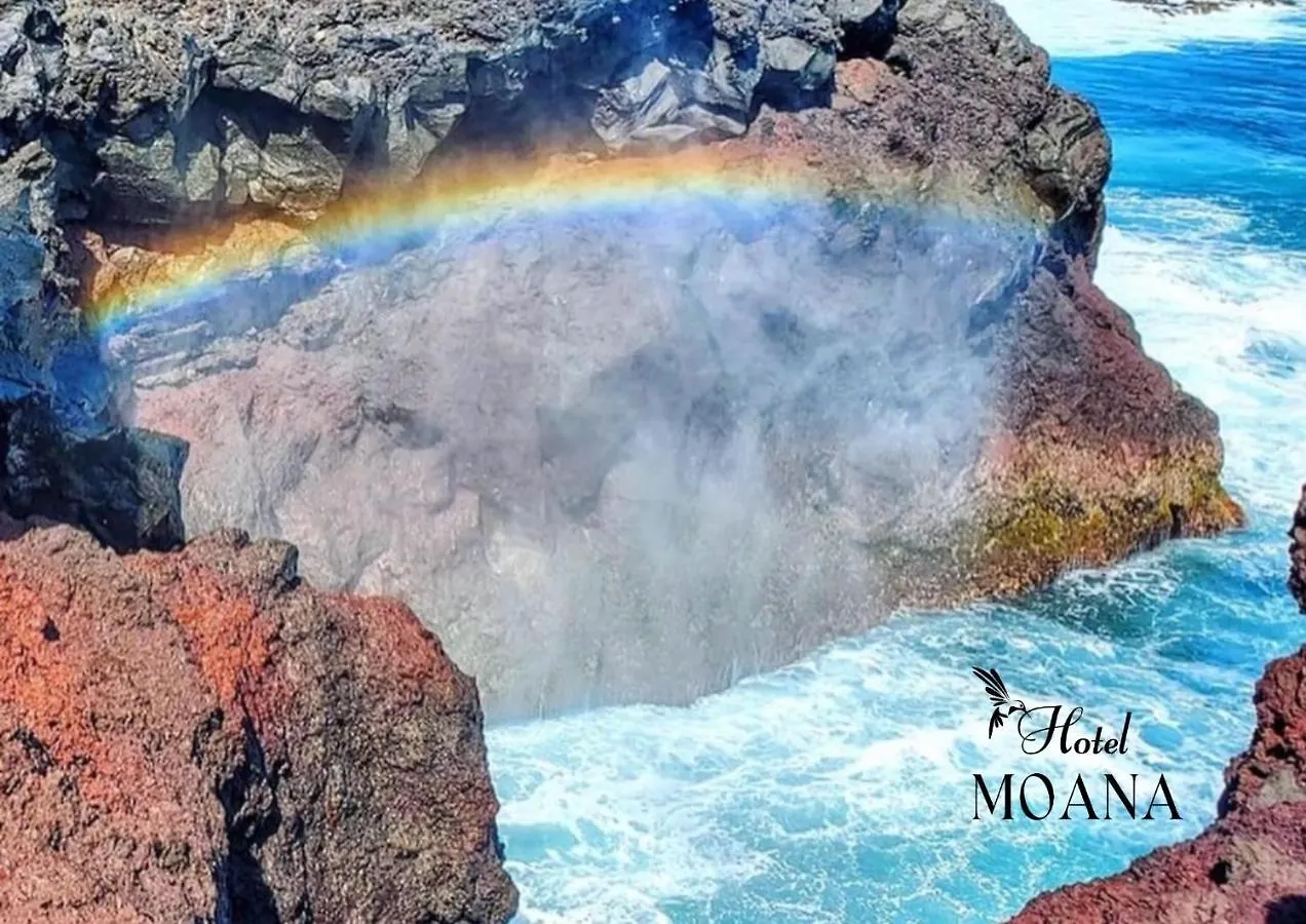 Hotel Moana - Vacation Stay 76518V 大島