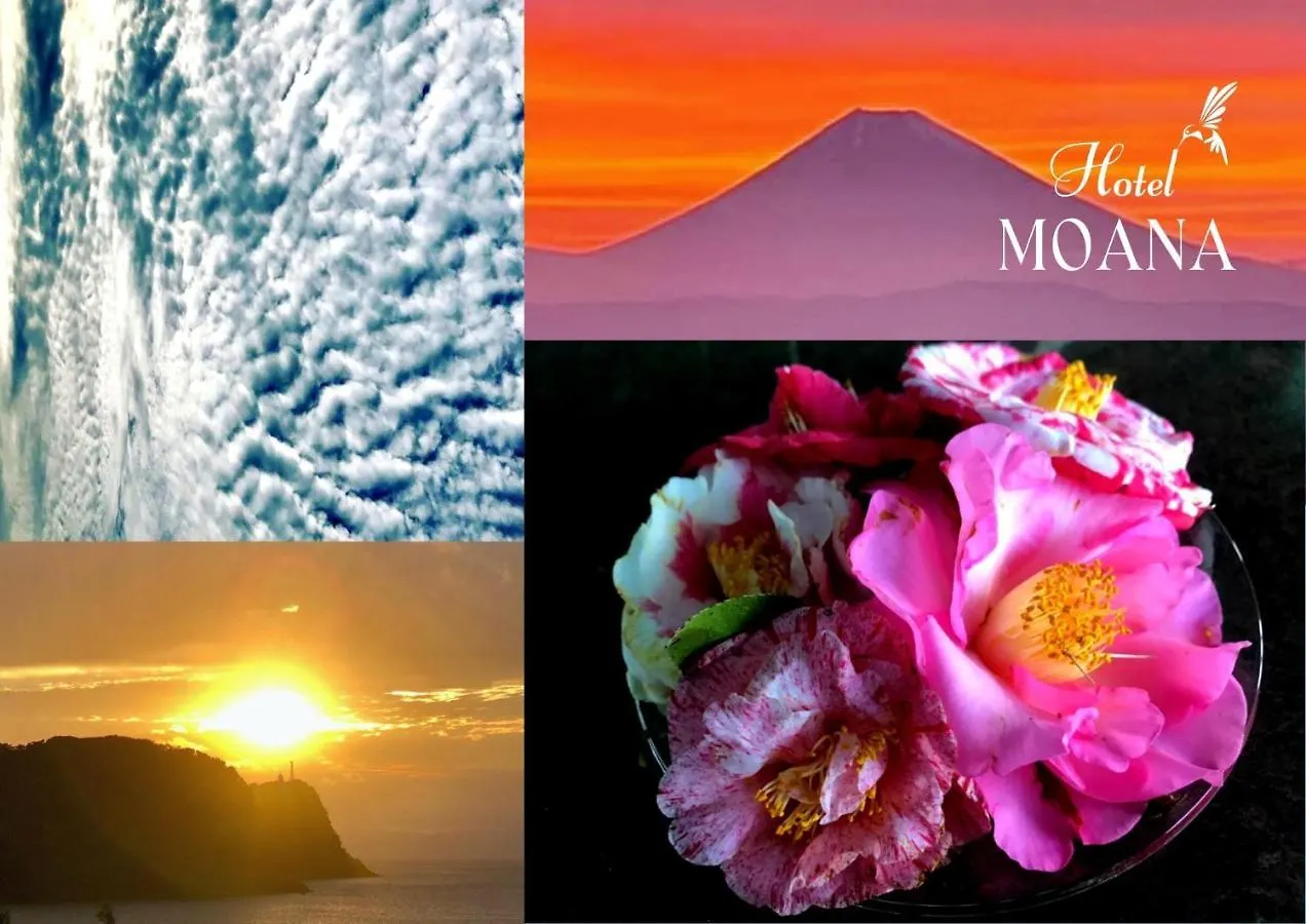 Hotel Moana - Vacation Stay 76518V 大島 0*,  日本